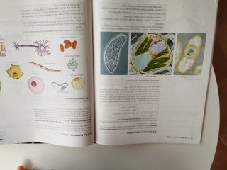 Bioloxía e xeoloxía, 1 ESO, Galicia, Operación ...