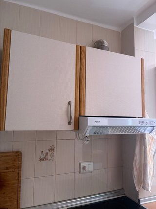 Campana extractora Apelson