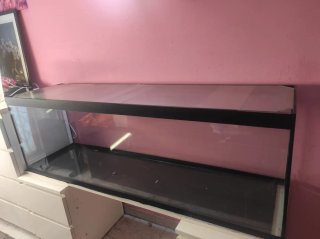 Acuario 300L
