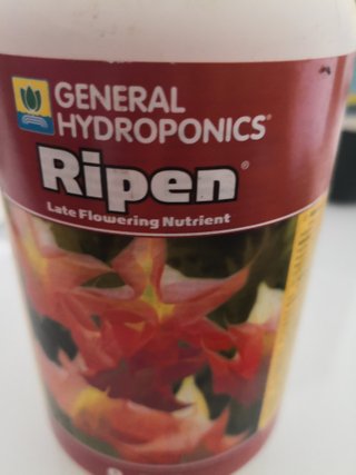 General Hidroponics Ripen 500ml