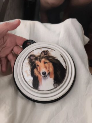 Bebedero perro diseño Collie