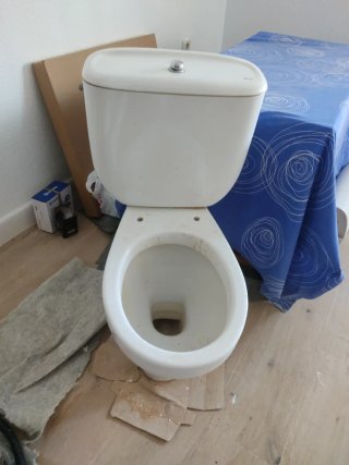 Inodoro Roca Blanco
