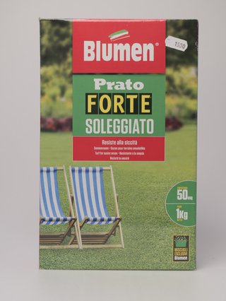 Semi per prato Blumen Prato Forte Soleggiato