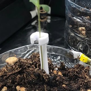 Tutor para plantas