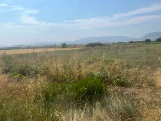 Finca rústica en venta