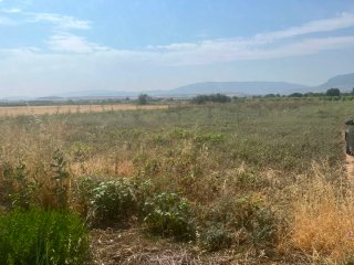 Finca rústica en venta