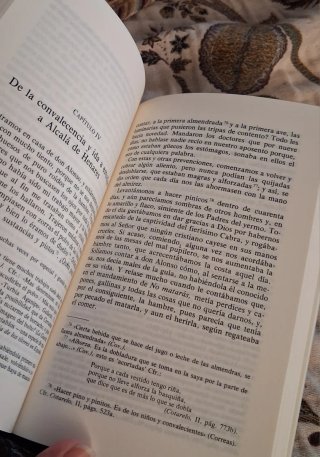 El Buscón