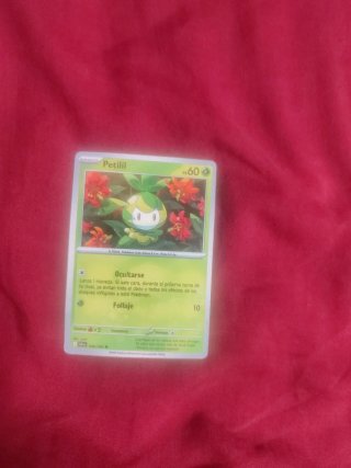 Carta Pokémon Golett Básico