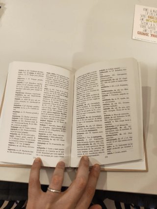 Diccionario canario de la lengua
