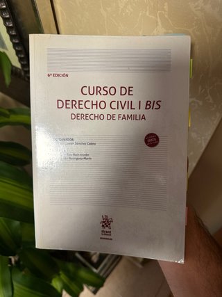 Curso de Derecho Civil I Bis Derecho de Familia...