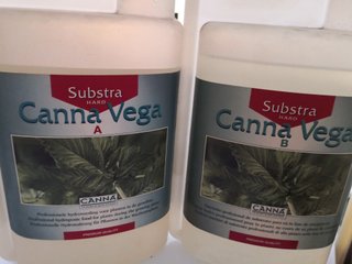 Pack Canna Vega A+B 1L