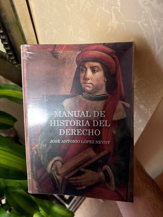 Manual de historia del derecho