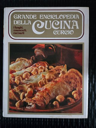 grande enciclopedia della cucina