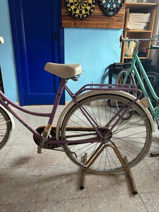 Bicicleta de paseo morada
