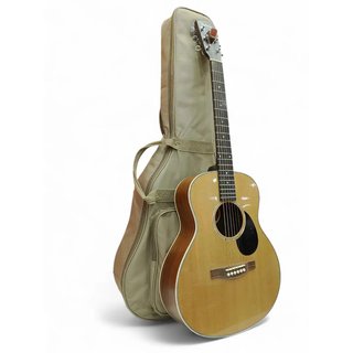 GUITARRA EASTMAN PCH2-TG + FUNDA