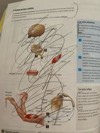 Biología y Geología 3, Secundaria, Fanfest Edel...