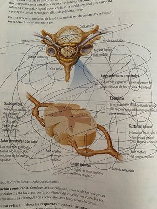 Biología y Geología 3, Secundaria, Fanfest Edel...