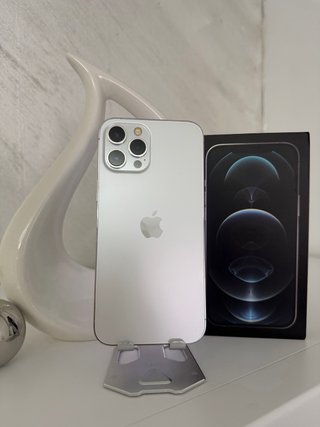 iPhone 12 Pro Max Gris blanco