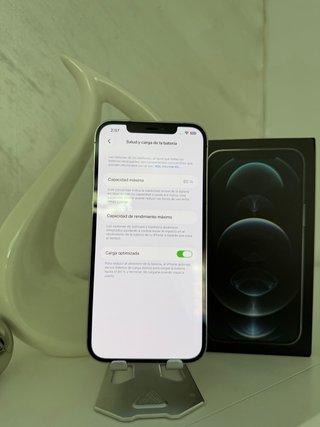 iPhone 12 Pro Max Gris blanco