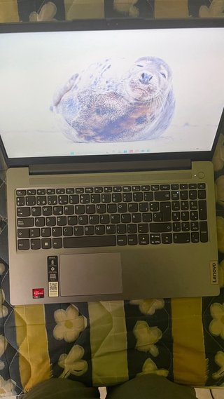 Portátil Lenovo IdeaPad Slim 15amn8 | 8GB RAM