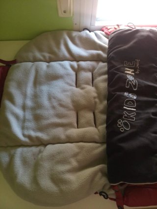 Saco de bebé para carro y bolsa