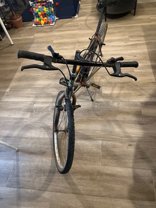 Bicicleta de Montaña
