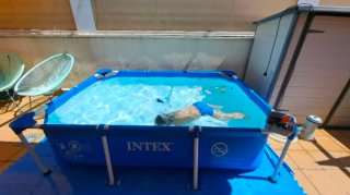 Piscina Intex Small Frame 220x150x60