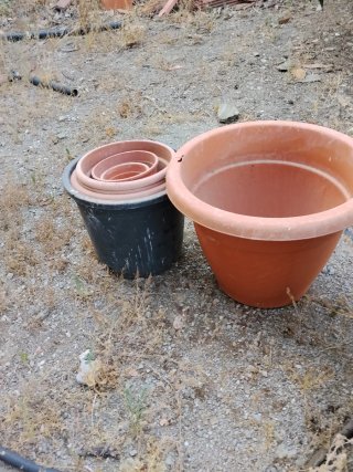 Lote de maceteros Tiestos