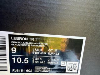 Nike Lebron TR 1 Beige/Rosa