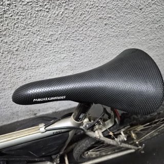 Bicicleta de adulto