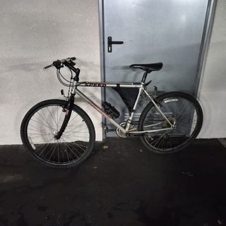 Bicicleta de adulto