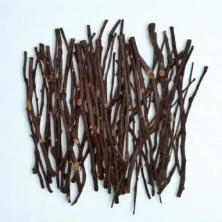 Bastoncini di Melo per Roditori