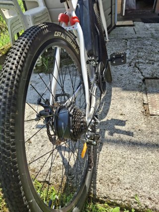 Bicicletta Elettrica