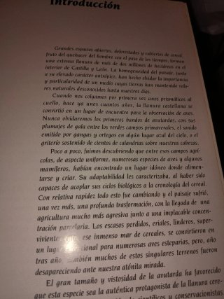 Libro