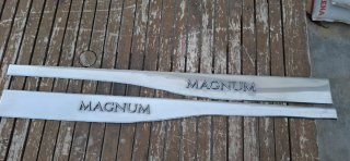 Embellecedor Renault Magnum