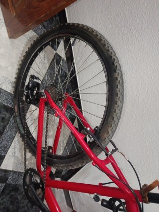 Bicicleta de Montaña Roja y Gris