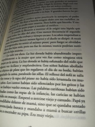 Casarse: Historias de matrimonios