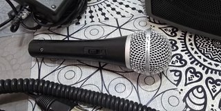 Fender Passport P10