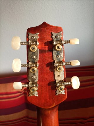 Guitarra Acústica Hora S1250 Viaje