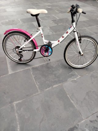 Bicicleta niña 20 6-12 años