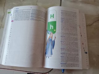 Diccionario básico de la lengua Española primaria