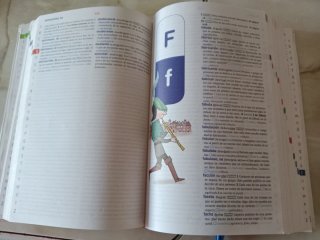 Diccionario básico de la lengua Española primaria