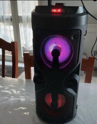 Cassa Karaoke Bluetooth con Microfono