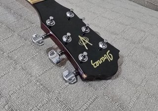 Acústica Ibanez ROTA