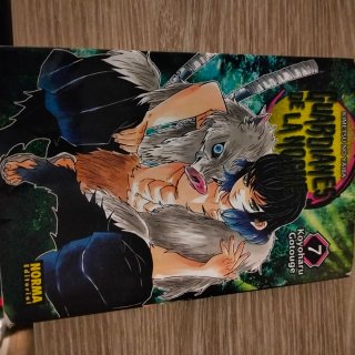 Mangas colección guardianes de la noche