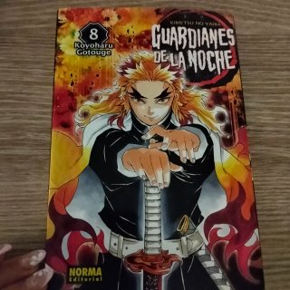 Mangas colección guardianes de la noche