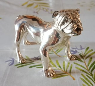 Bulldog Inglese Argento Laminato