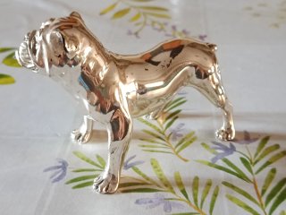Bulldog Inglese Argento Laminato