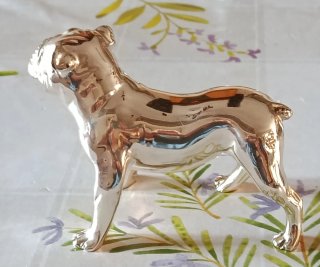 Bulldog Inglese Argento Laminato