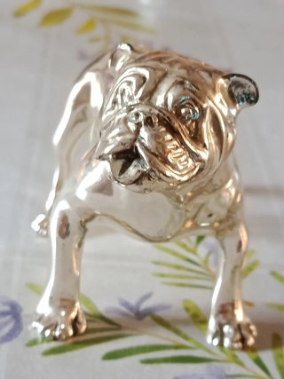 Bulldog Inglese Argento Laminato